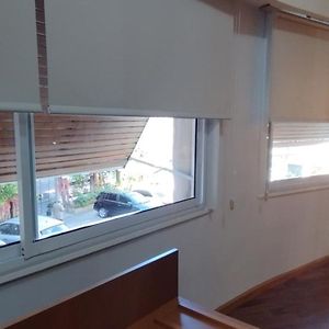 Suite Estándar